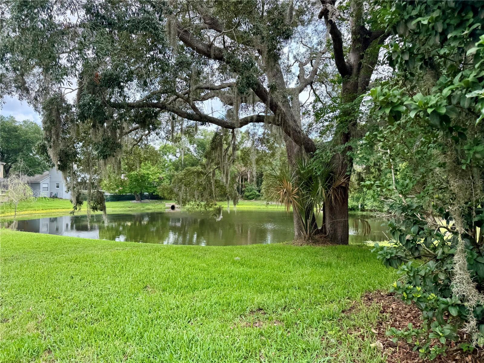 1043 Bucksaw Place, FL