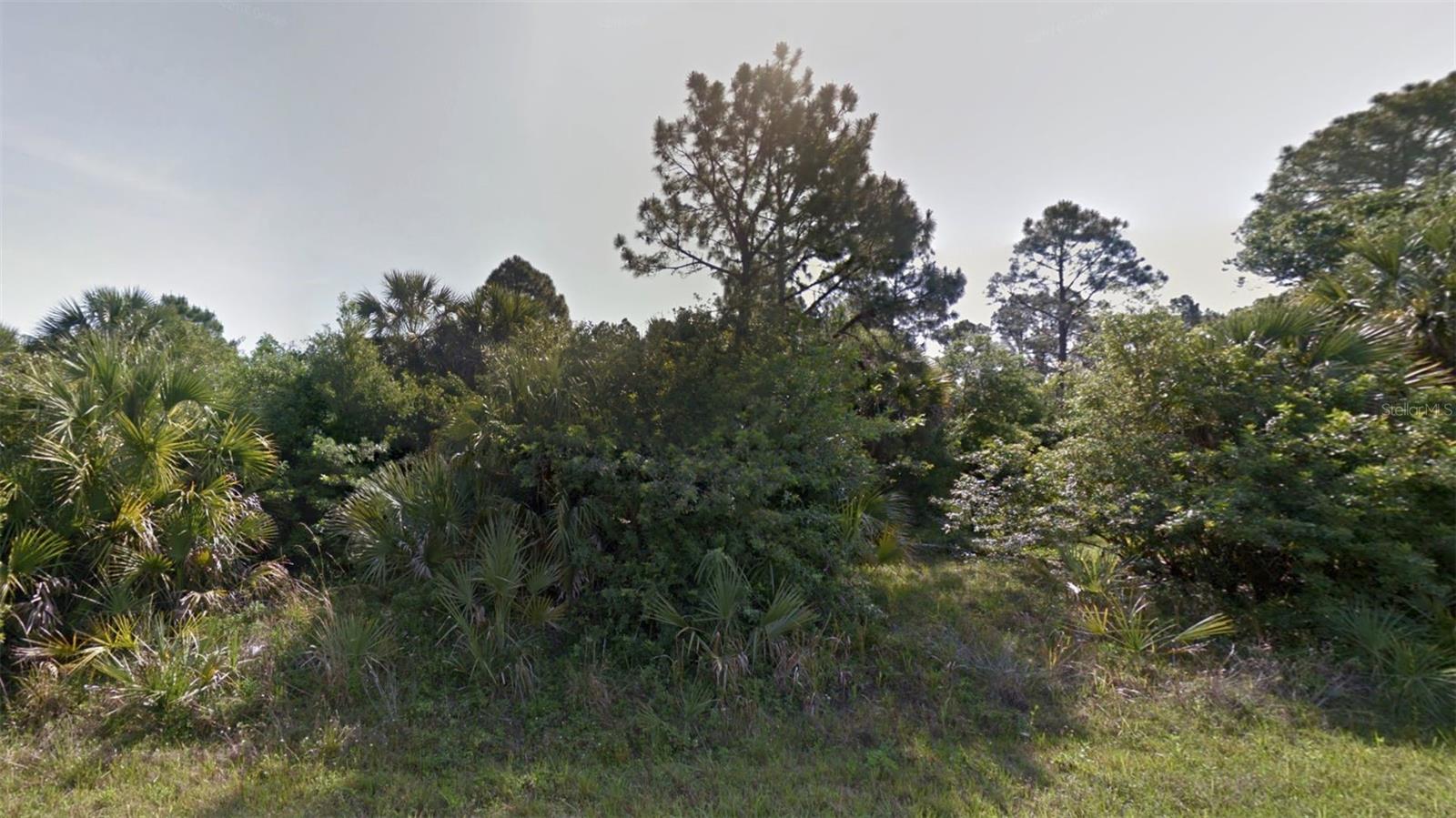 Bigflower Ave, FL