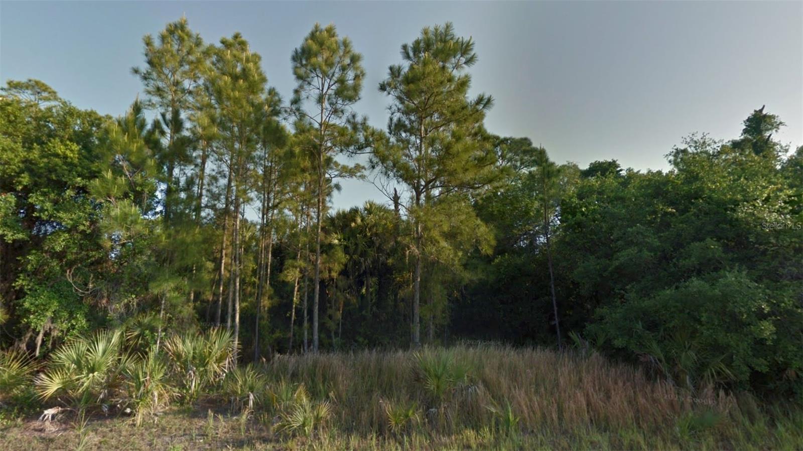Crimsonglory Rd, FL
