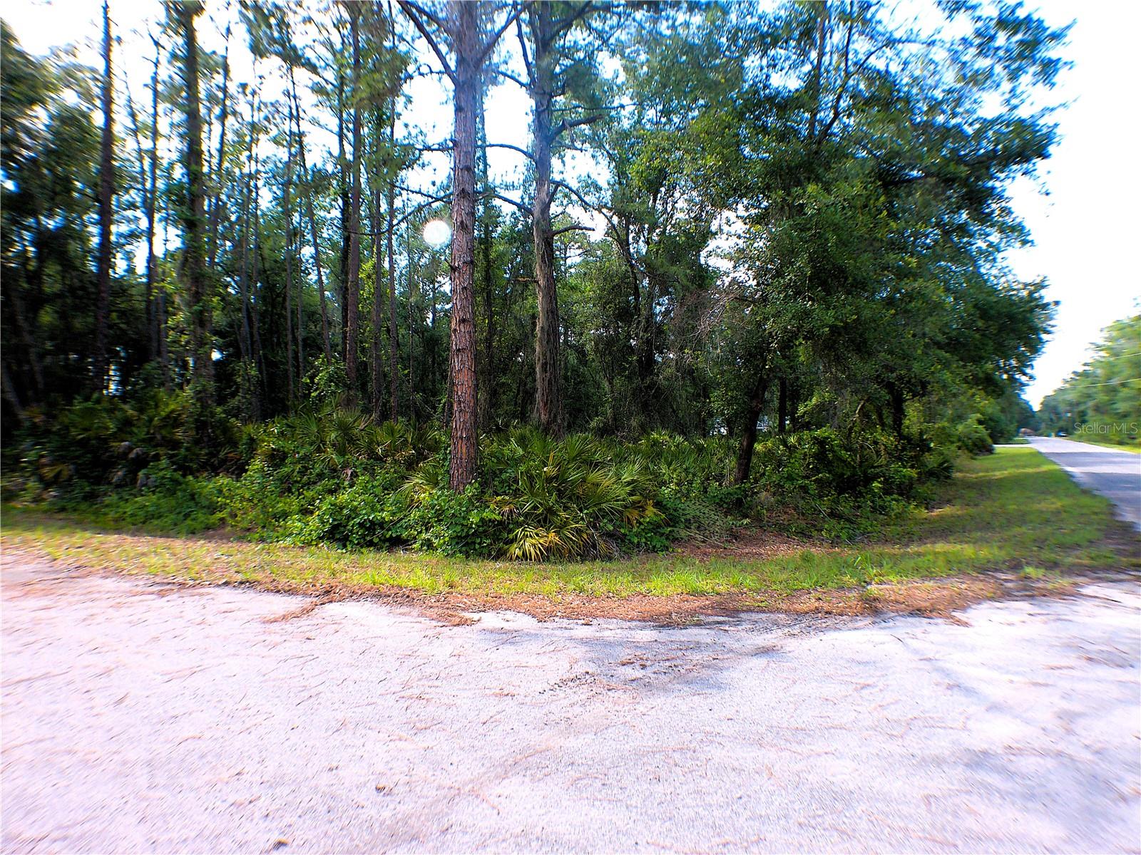 Sequoia Dr, FL