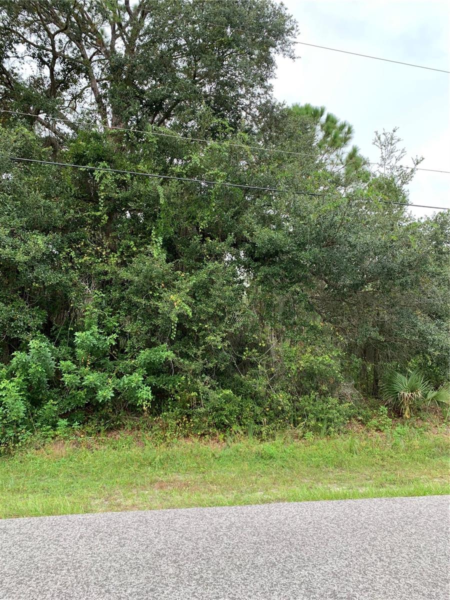 285 Berthoud St, FL