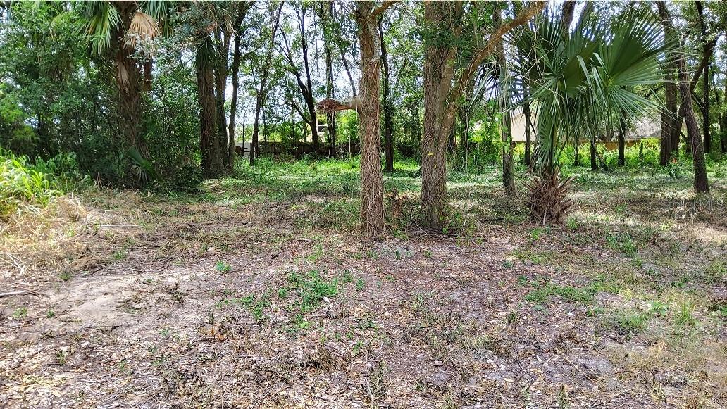 25050 Algonquin Ave, FL