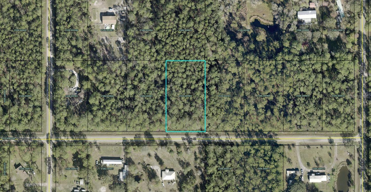 Theresa St, FL