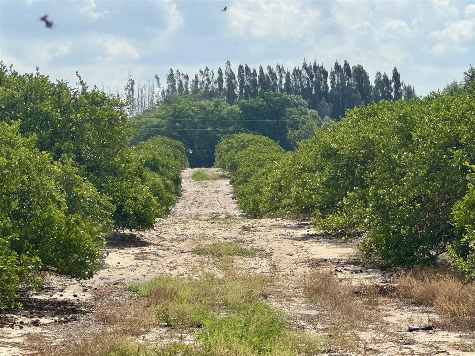 Crooked Lake Dr N, FL