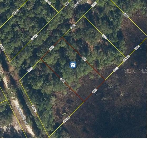 103 Brierly St, FL