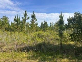 118 (Blk 356 Lot 9) Tropicana Dr, FL