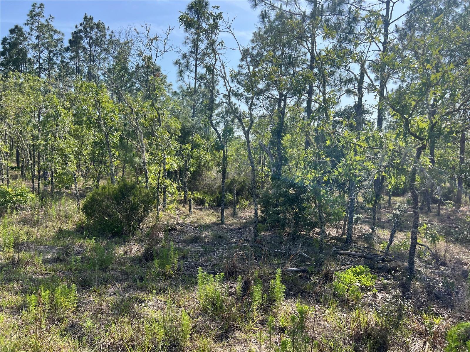 Ne 151st Ave, FL