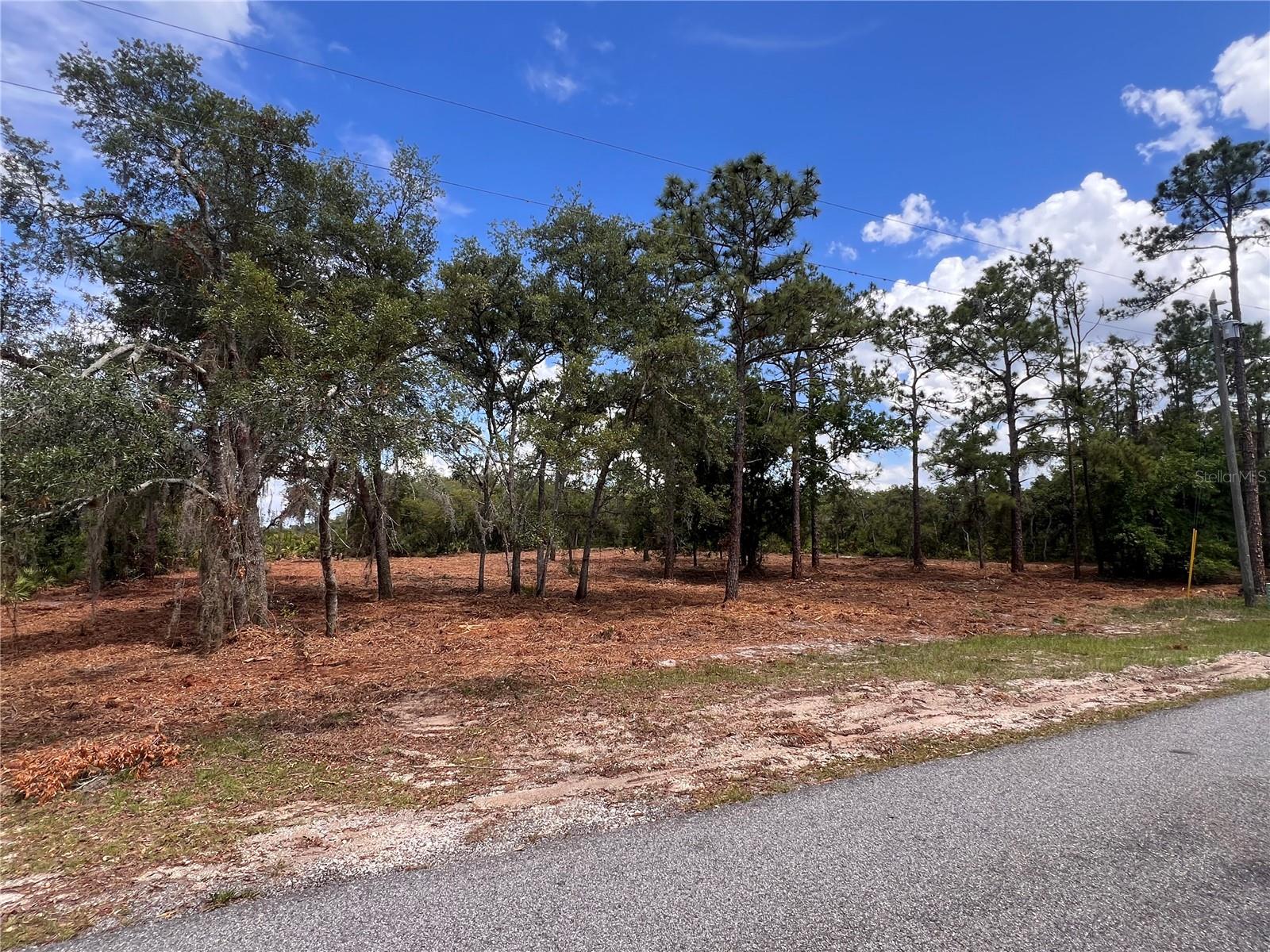 Deer Rd, FL