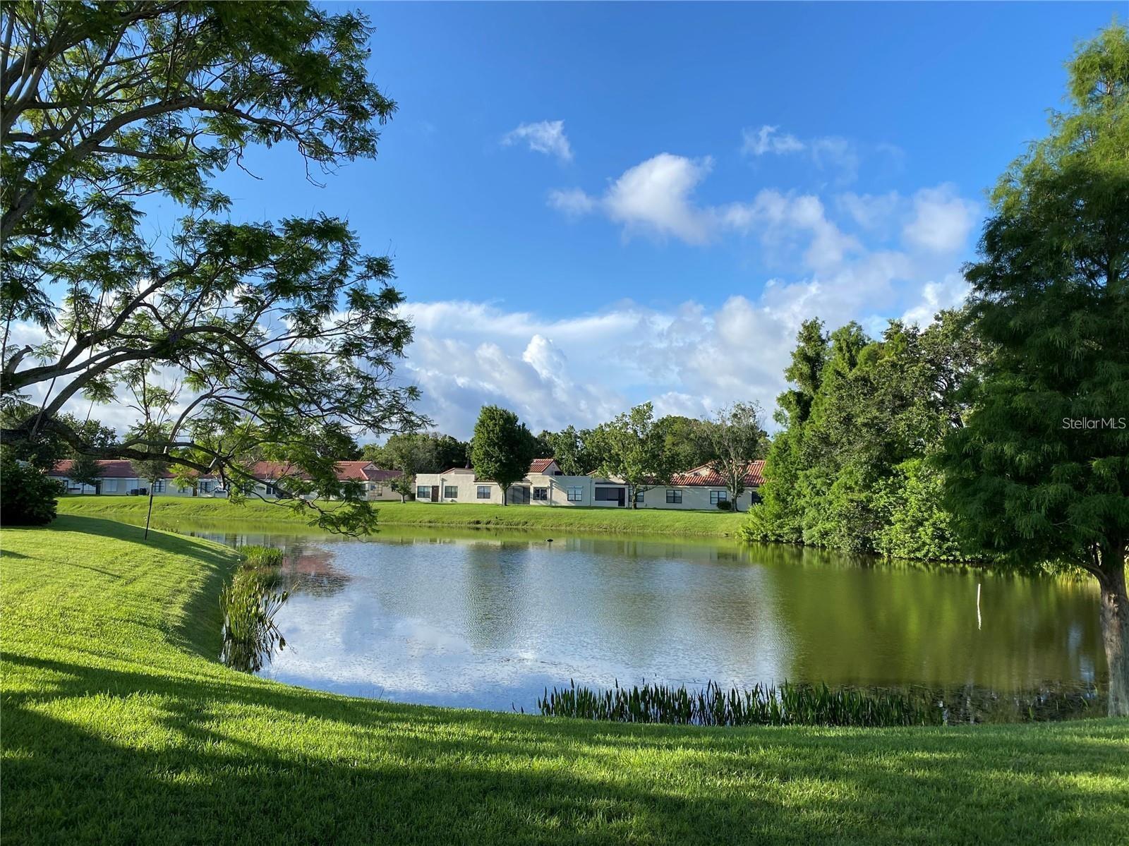 9009 41st Way, FL