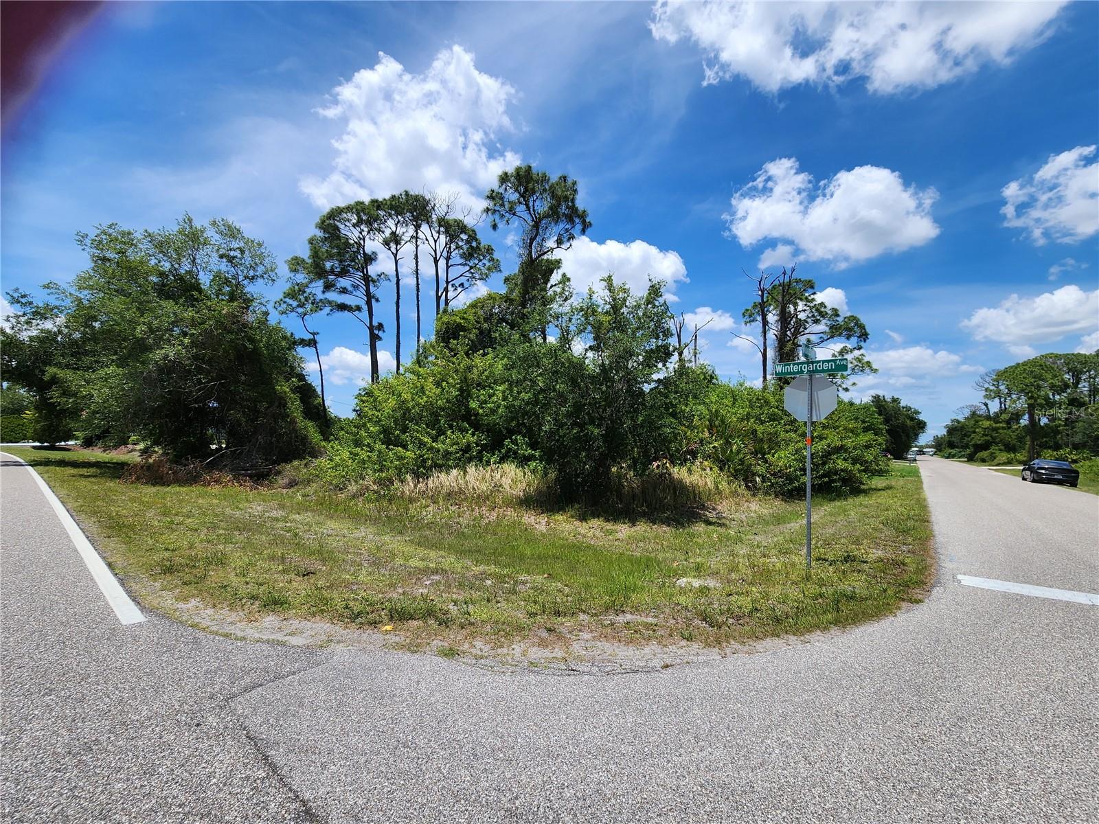 18308 Wintergarden Ave, FL