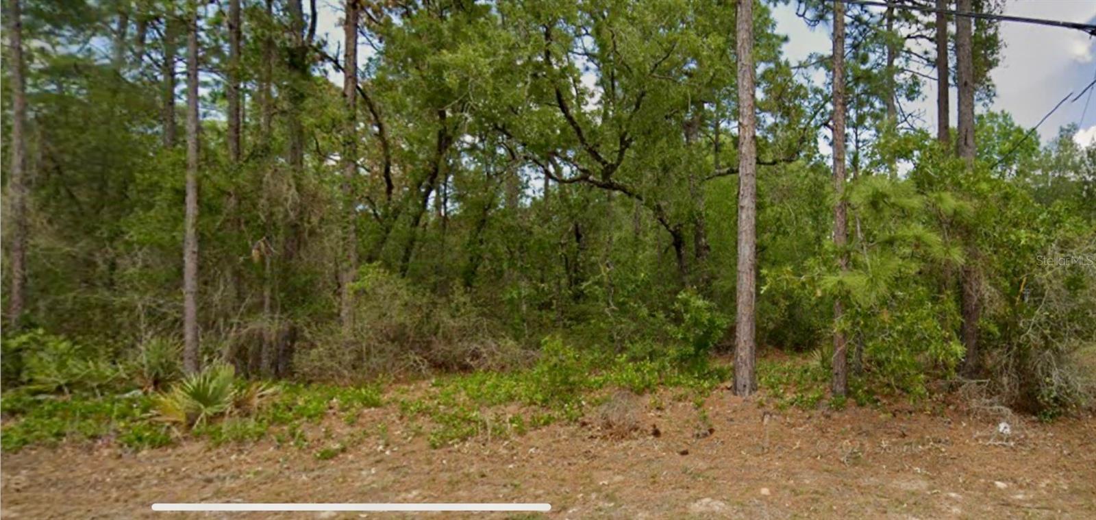 8550 N Citrus Springs Blvd, FL