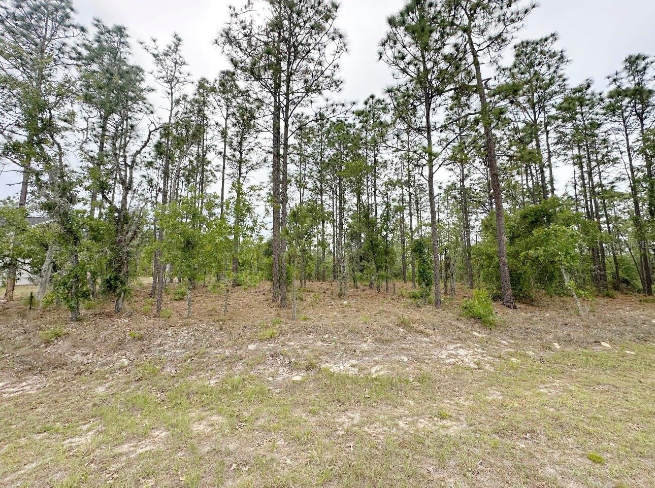 Tbd 150th , Lot 10 Avenue, FL