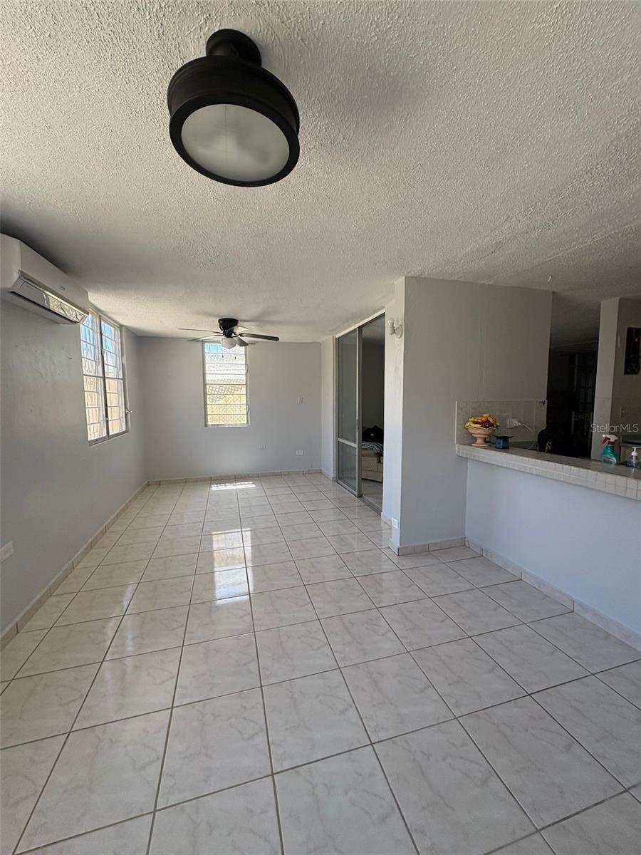 4205 Urb Villa Del Carmen Ave. Constancia, PR