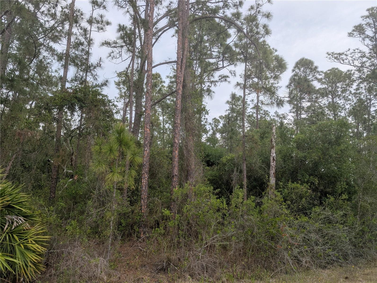 320 Alba Dr, FL