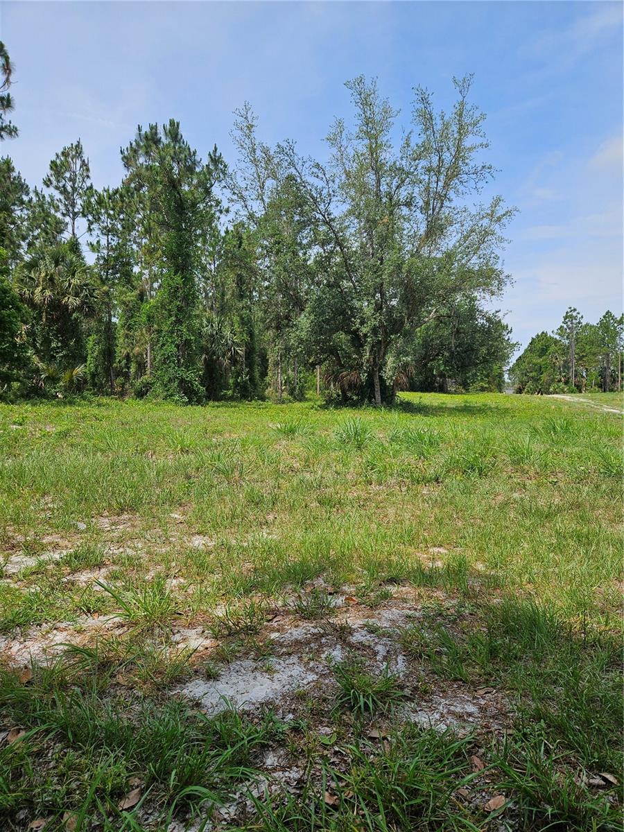 Geneva Woods Cove, FL