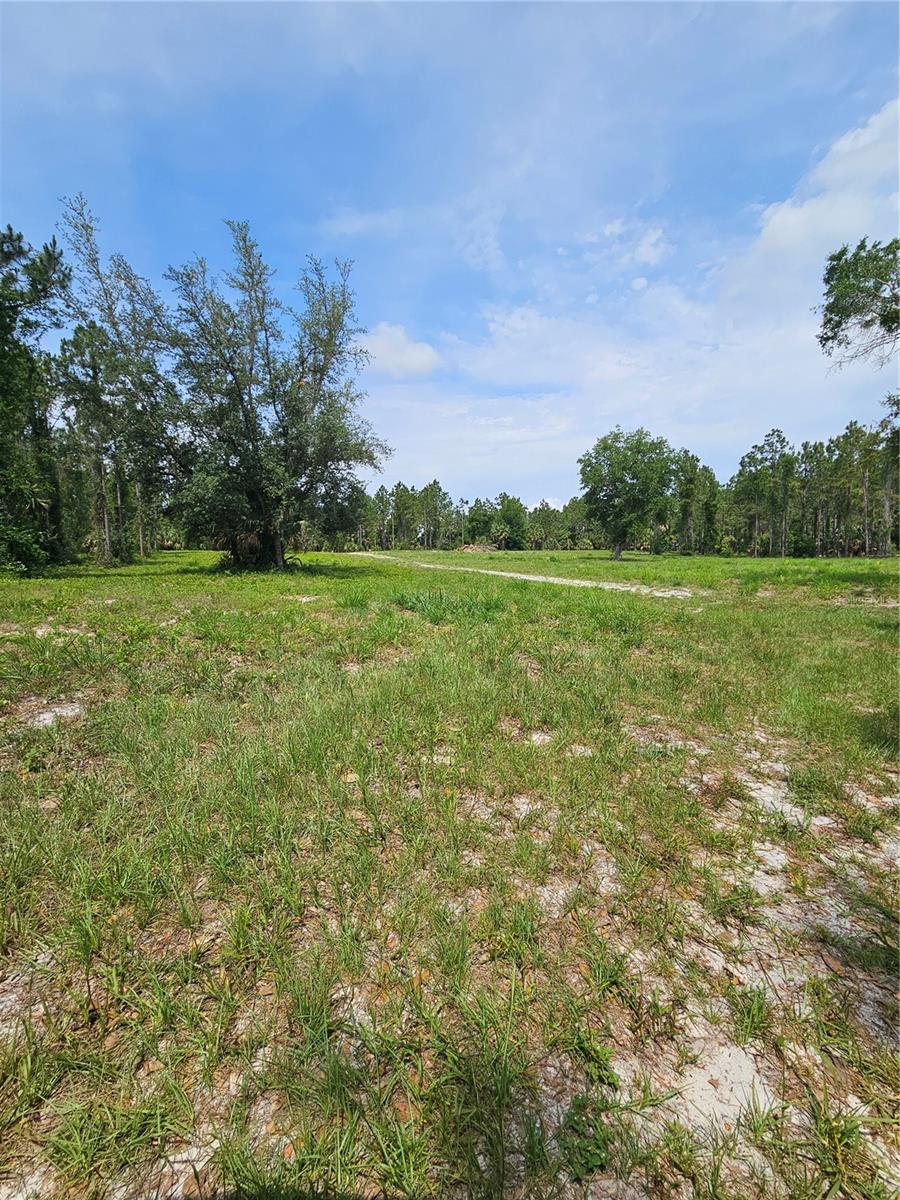 Geneva Woods Cove, FL