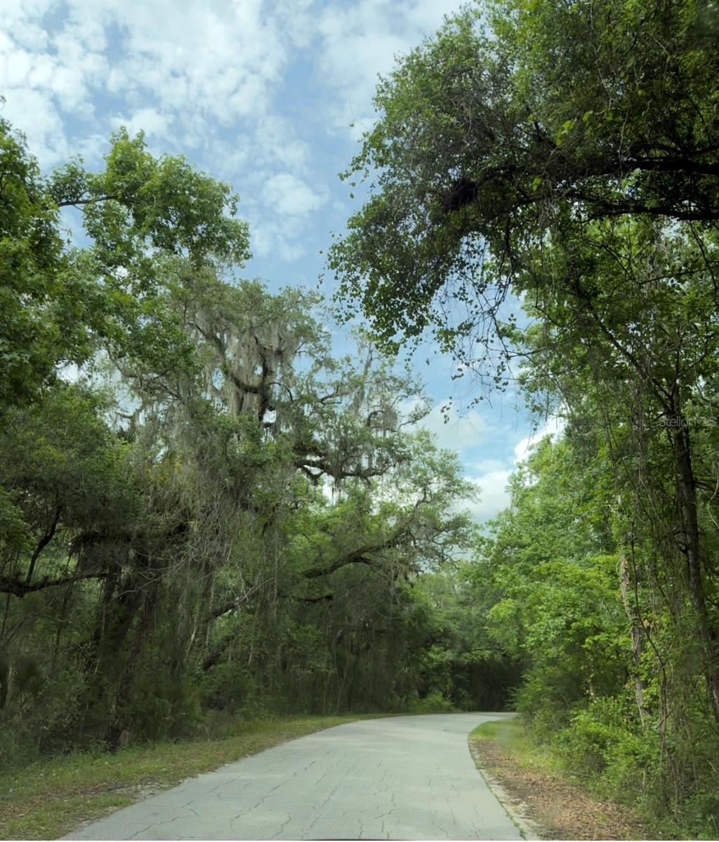 County Road 707, FL