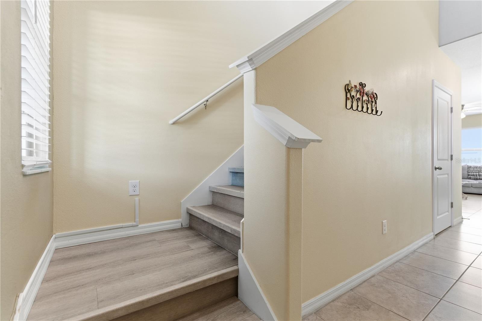 10206 Cool Waterlily Avenue, FL