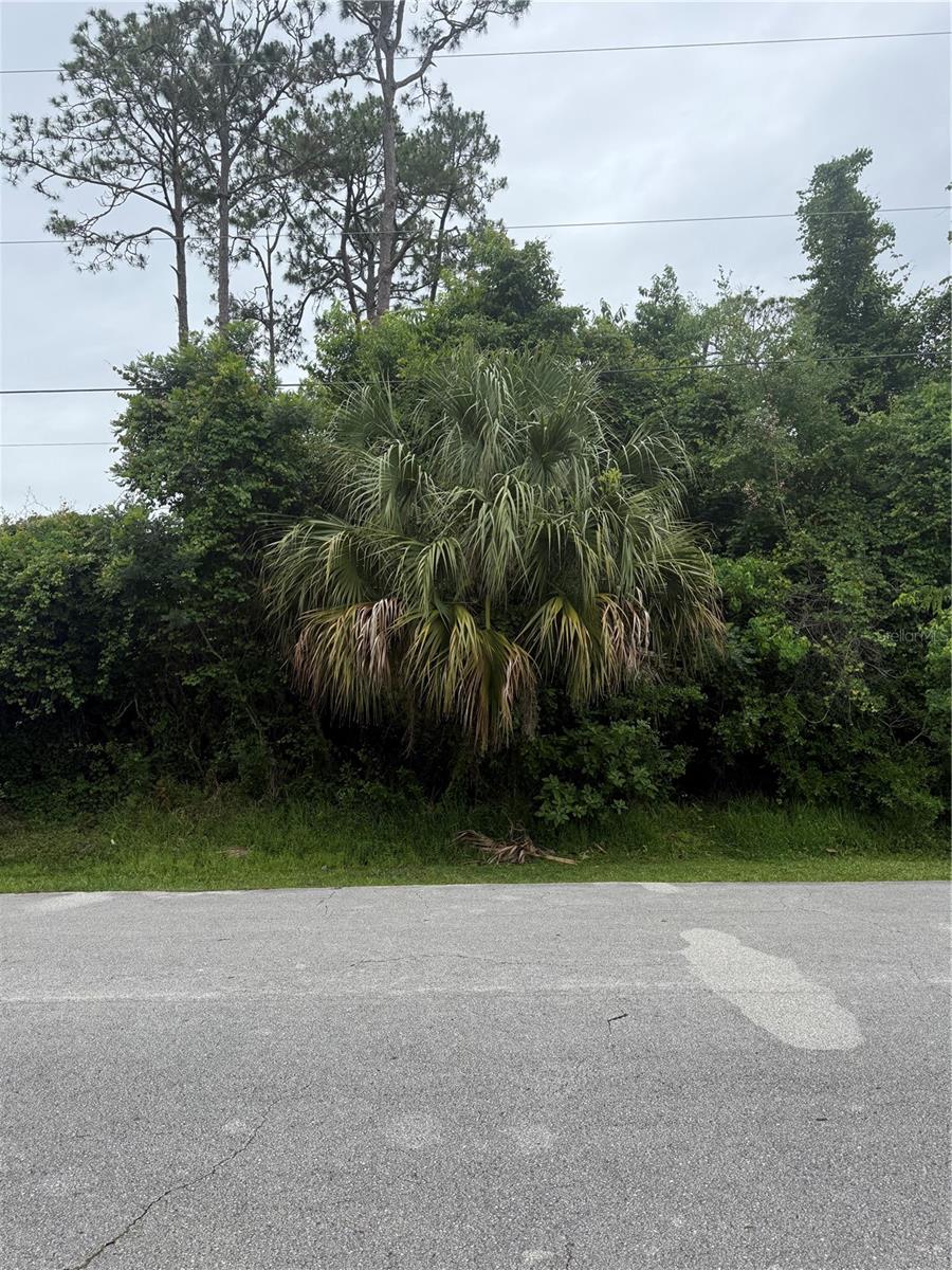 15 Pepper Ln, FL