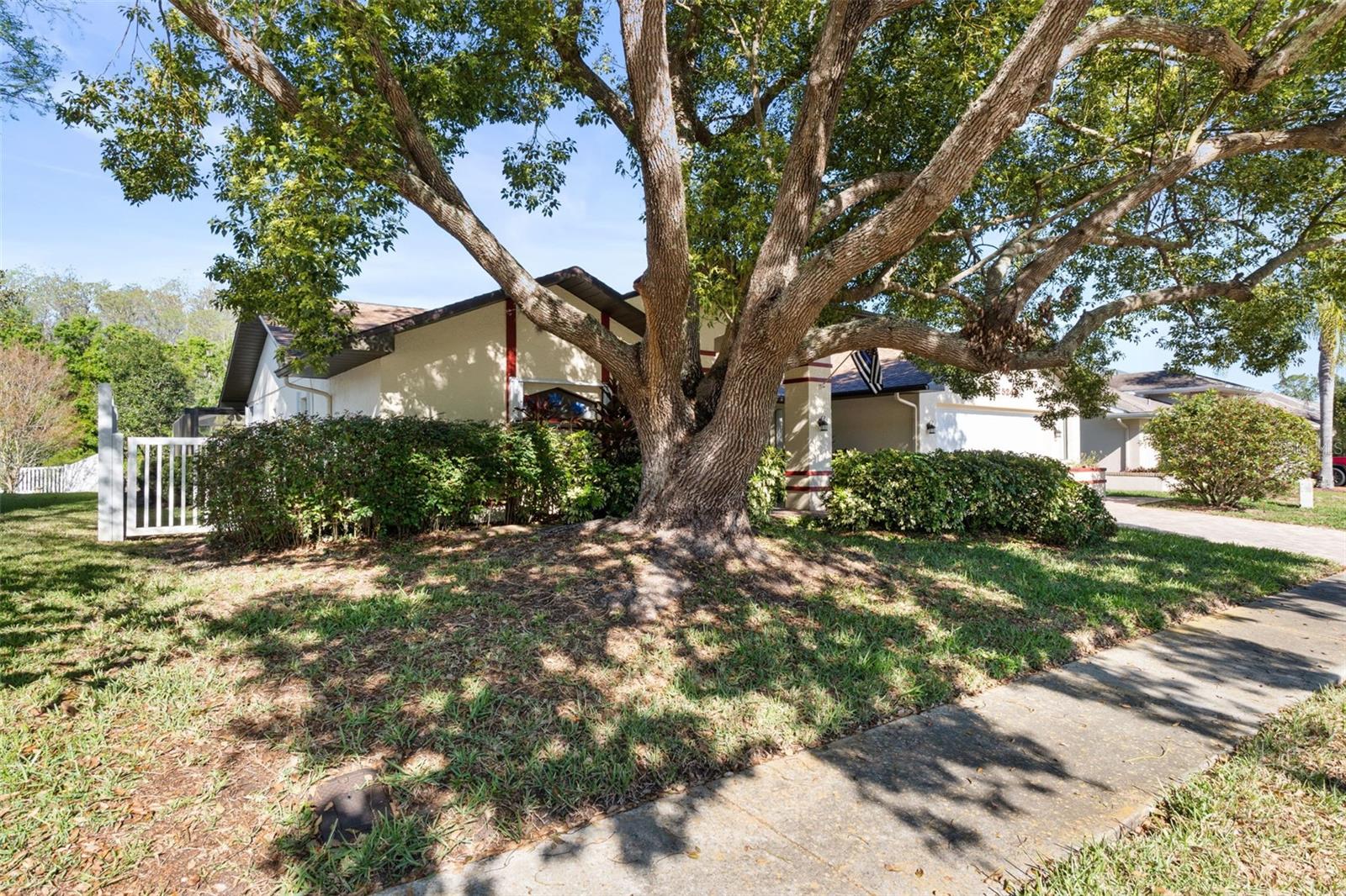 5243 Saltamonte Drive, FL