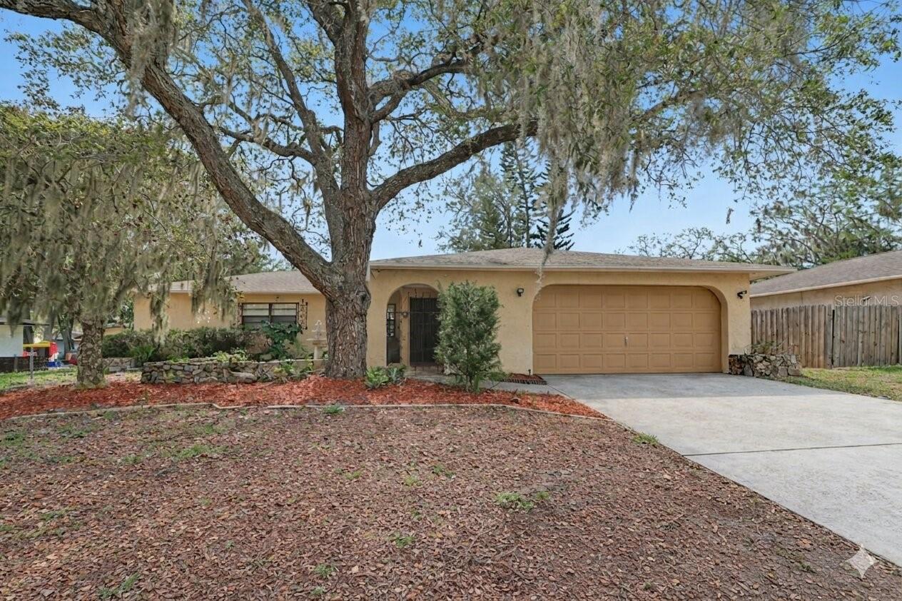 8741 Elm Leaf Ct, FL