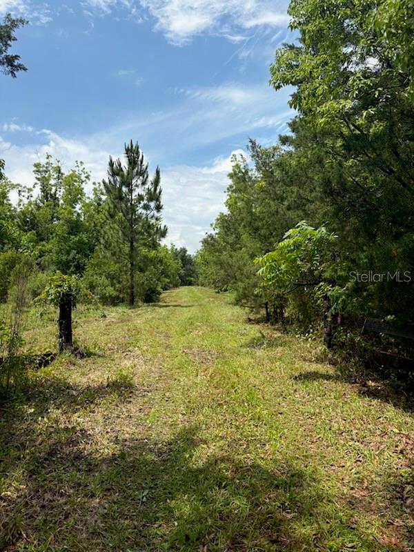 459 County Road 2006 E, FL