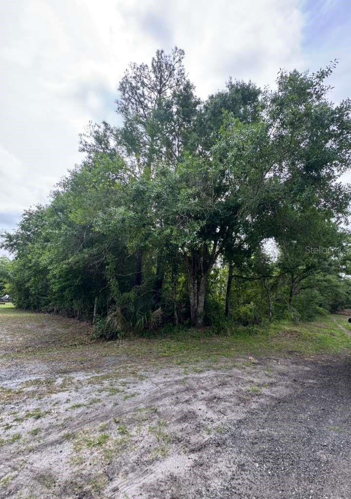 1249 Sable Palm Drive, FL