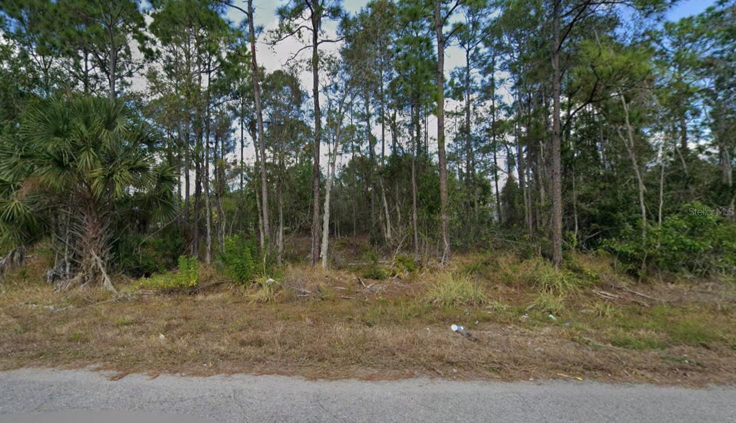 453 Conlee St, FL