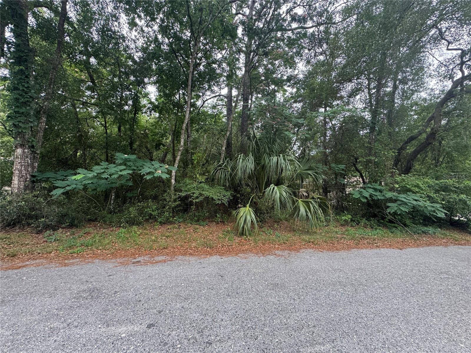 3462 E Michael St, FL