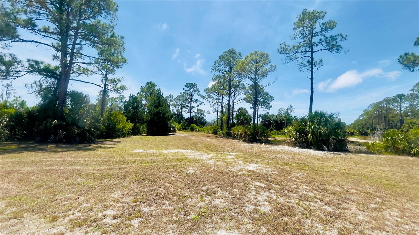 Tbd Sw 101st Ln, FL