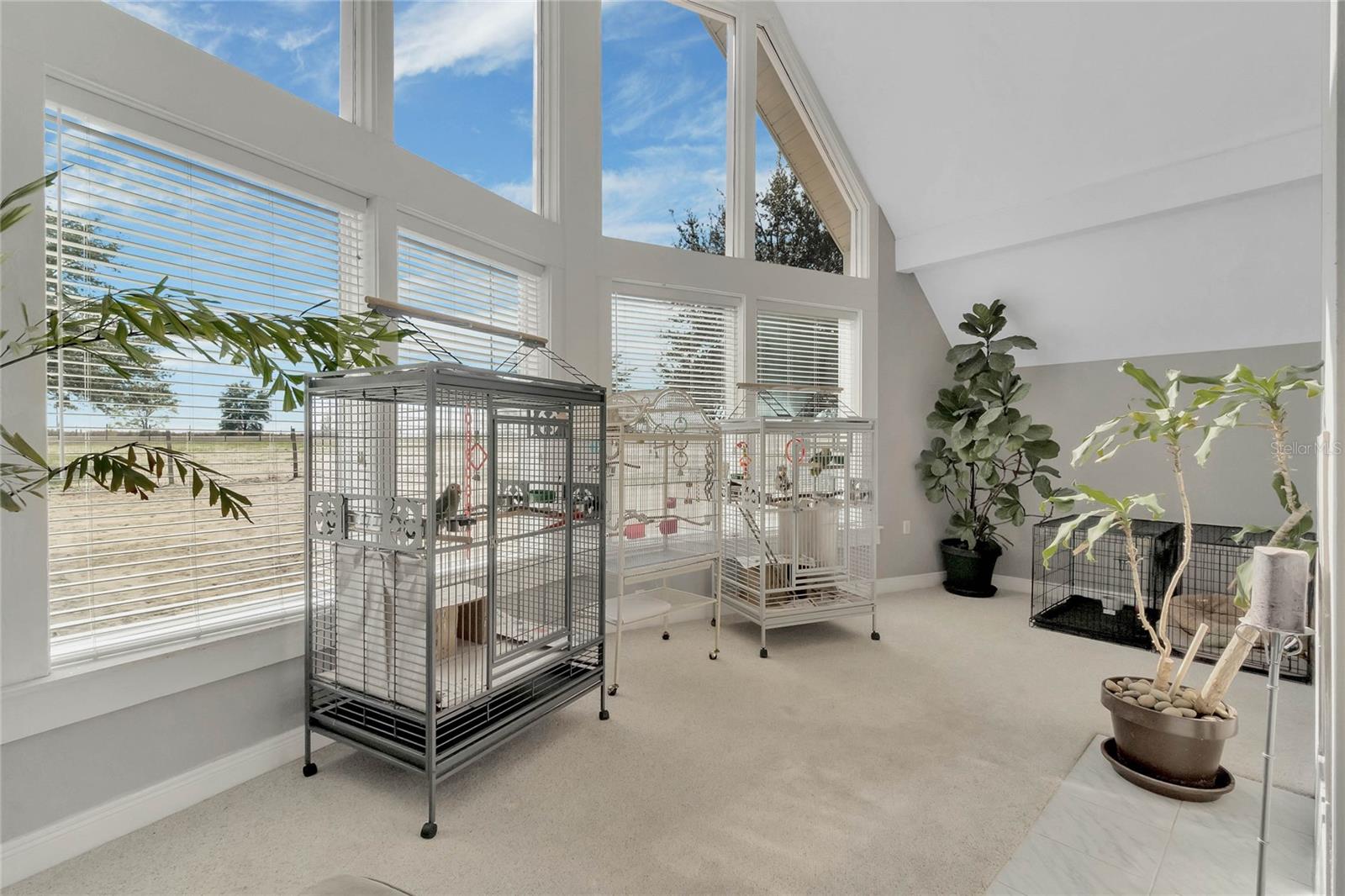 16131 Johns Lake Road, FL