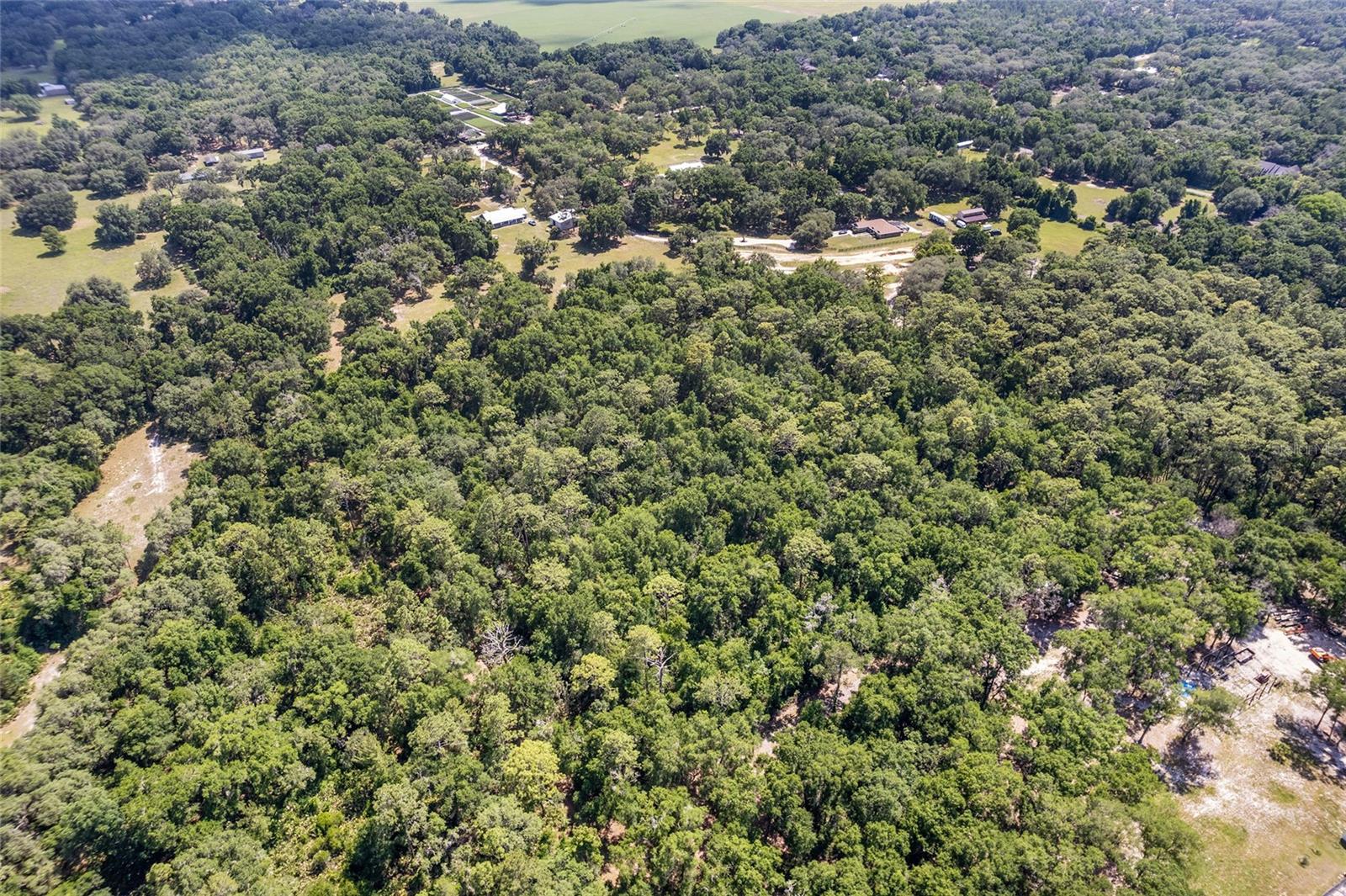 Tbd County Road 245s, FL