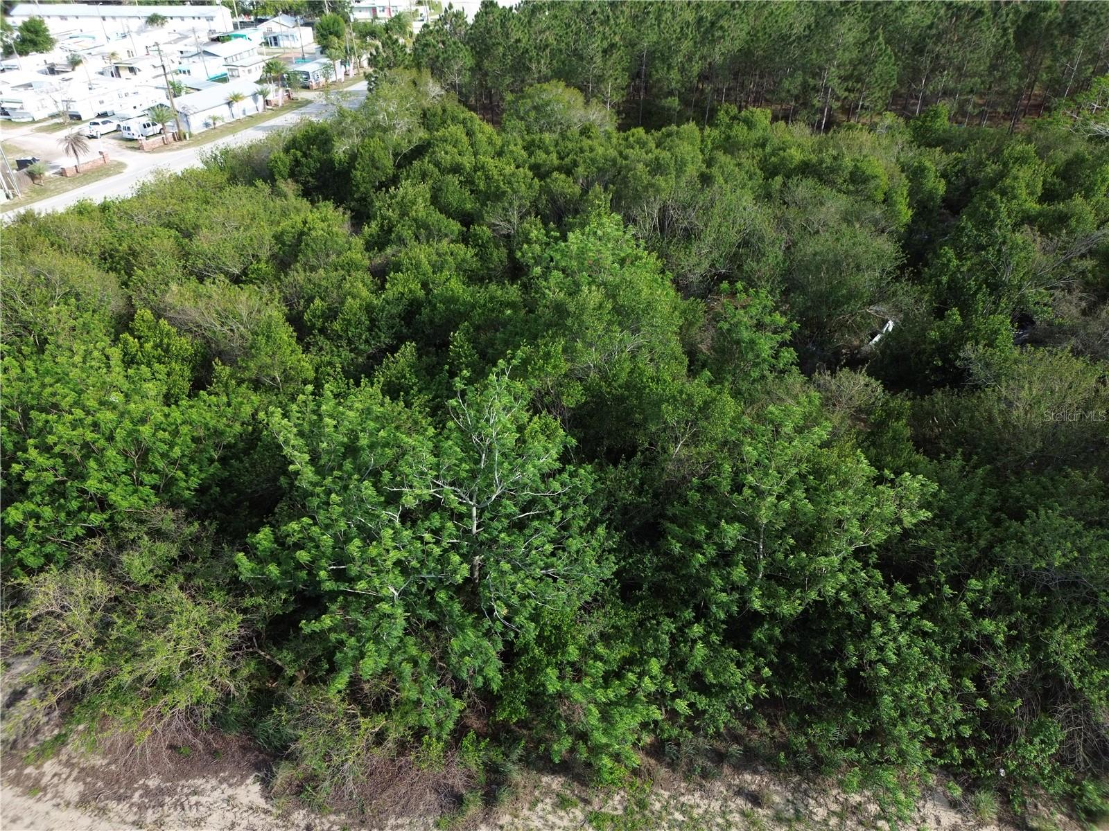 3055 Sr-17 N, FL