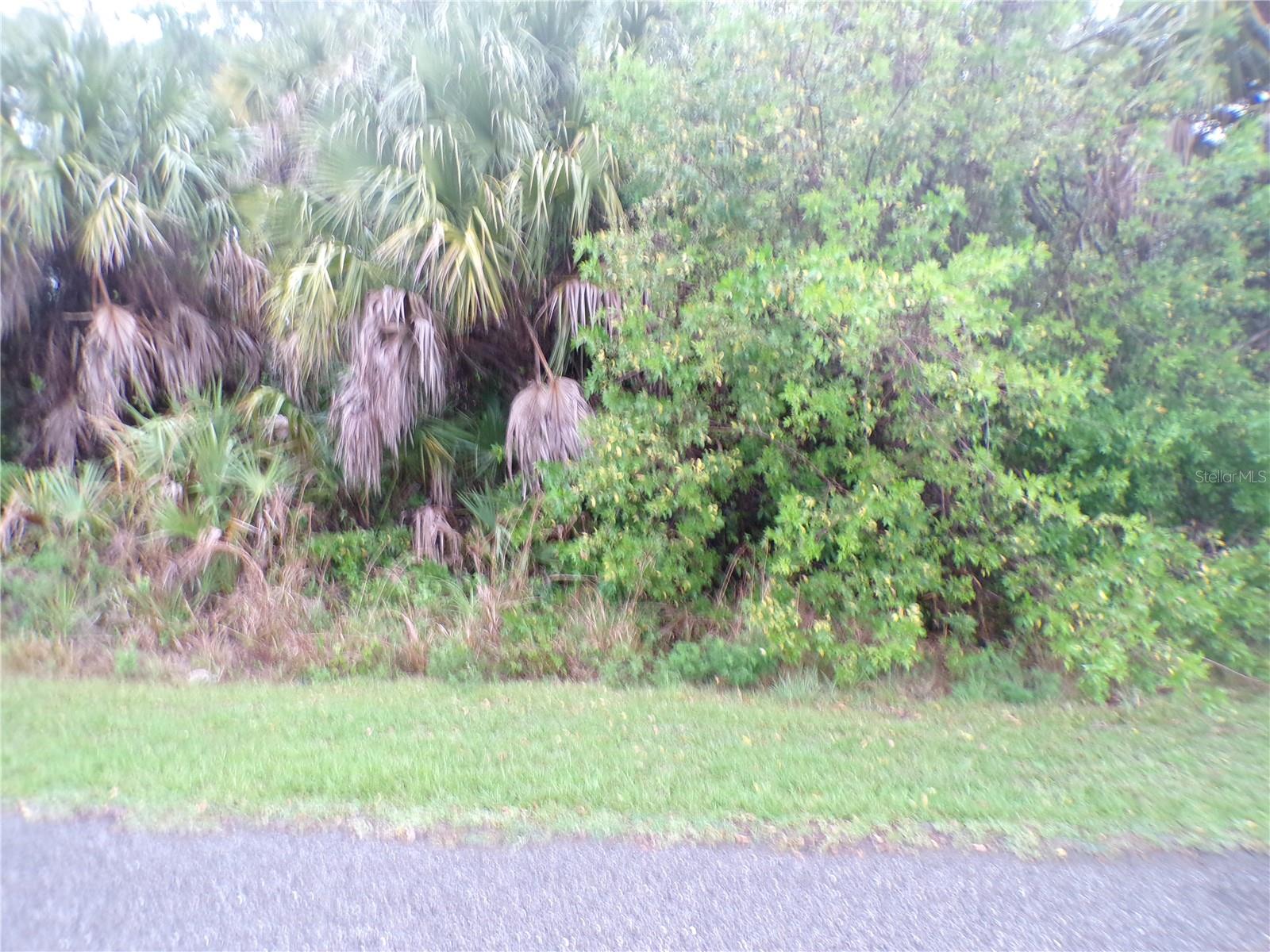 Shalimar Ter, FL