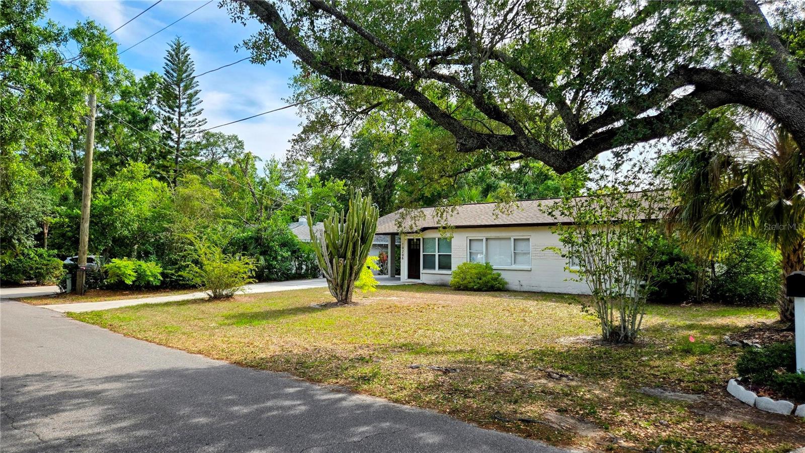10206 Oakleaf Avenue, FL