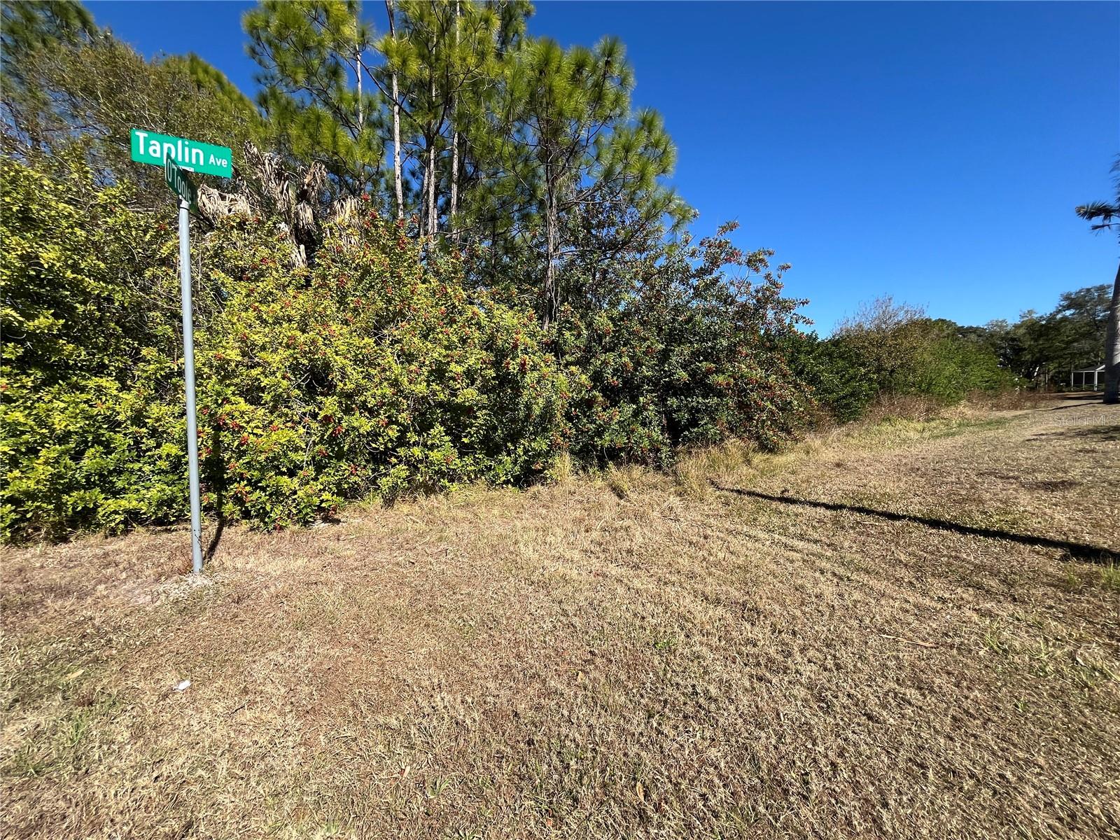 Taplin Ave, FL
