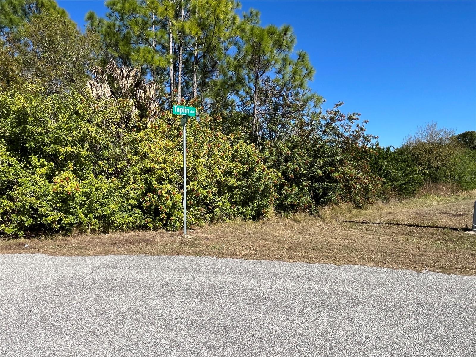 Taplin Ave, FL