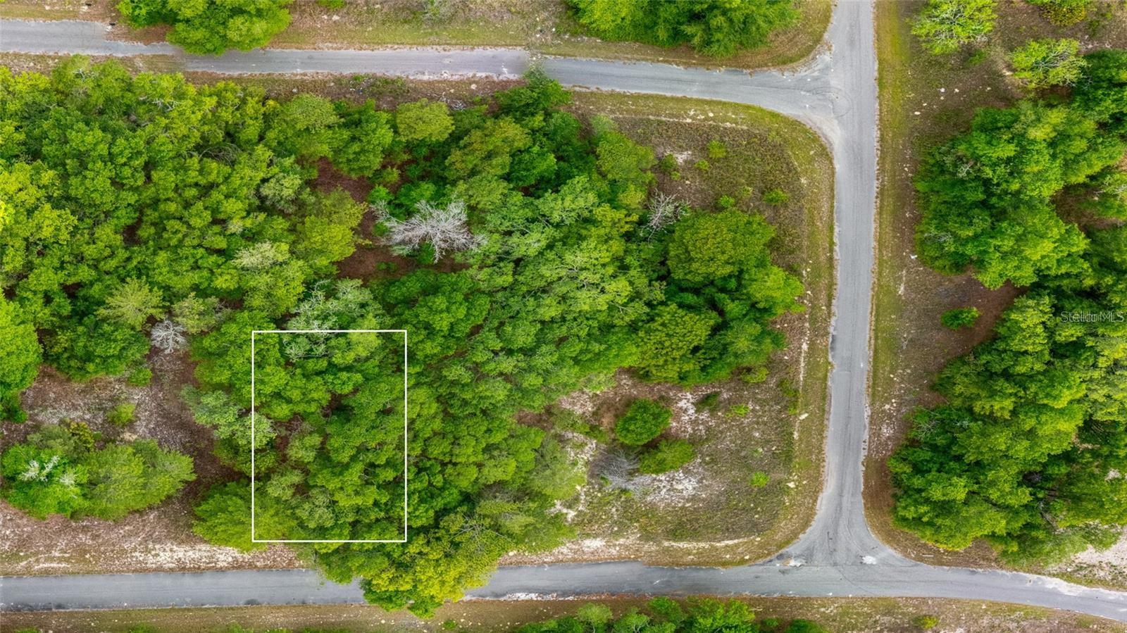 Magnolia Dr, FL