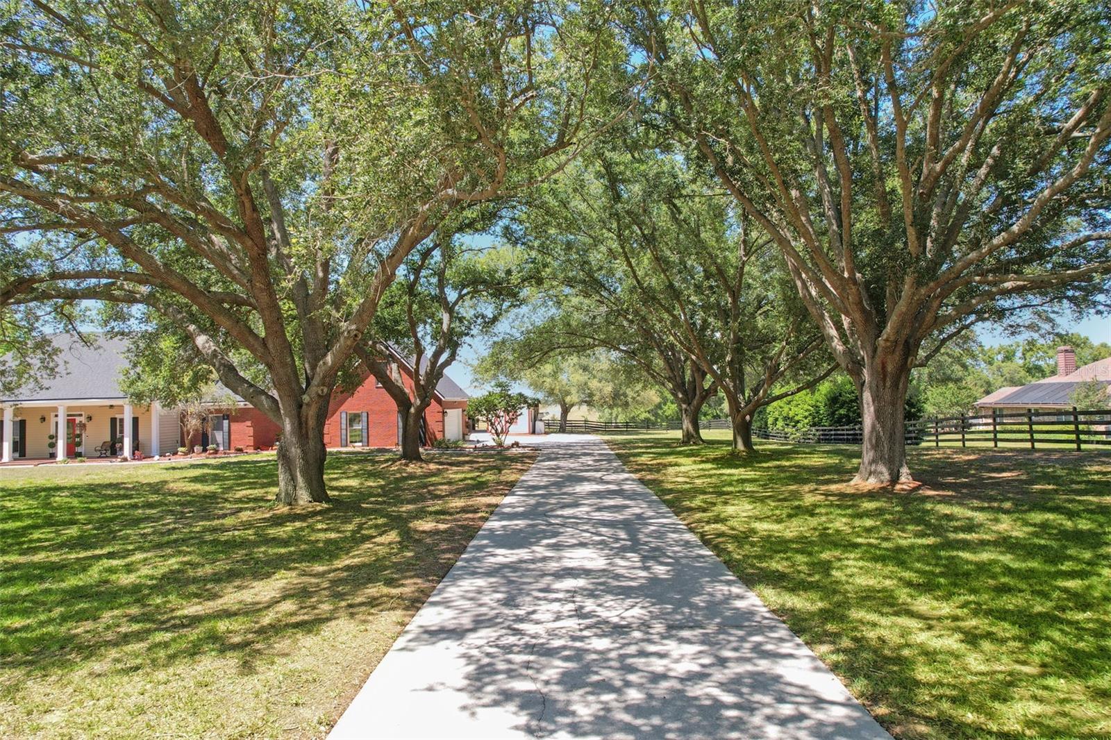 14951 Thoroughbred Ln, FL