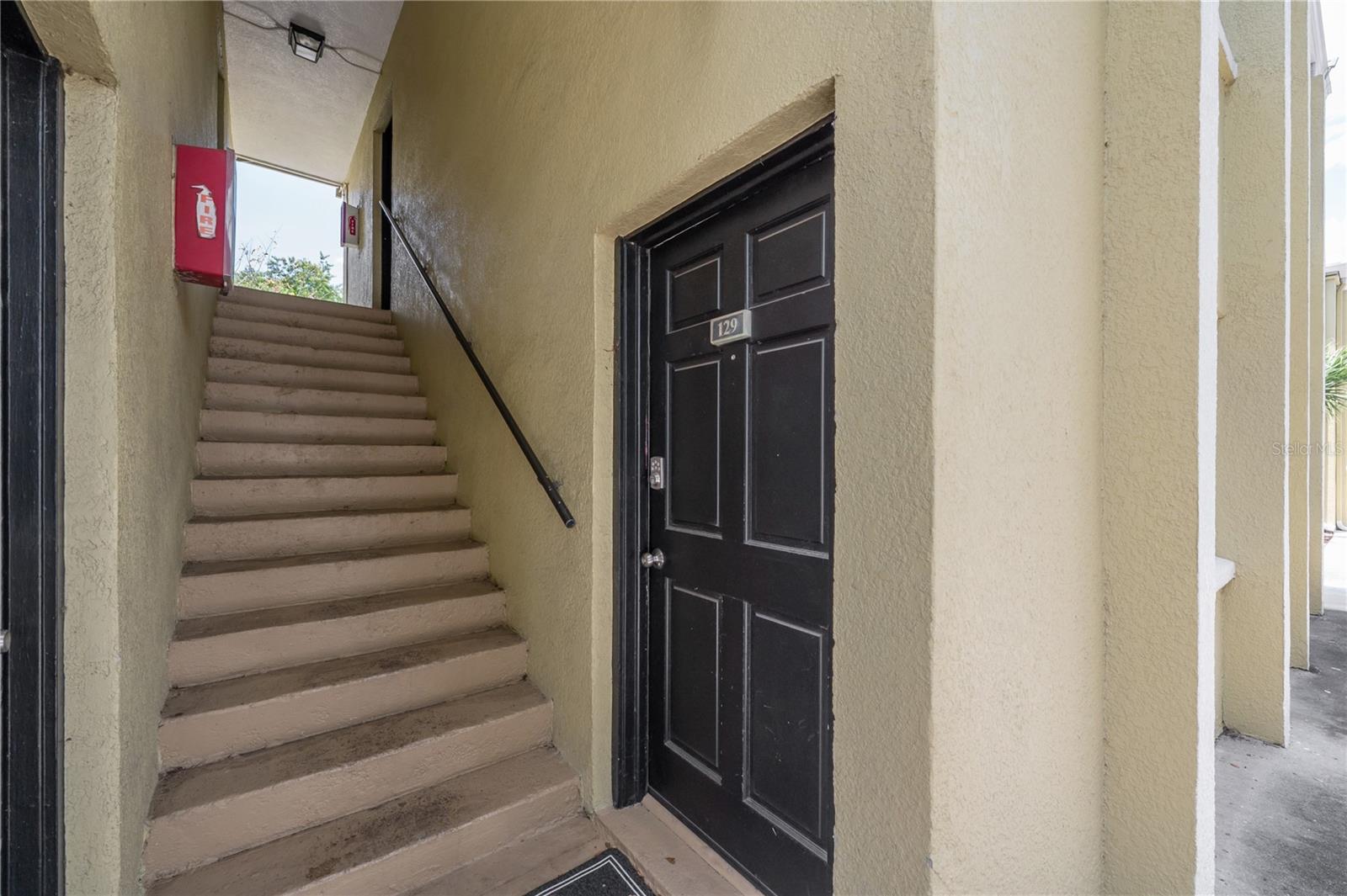 3206 Azeele Street, FL