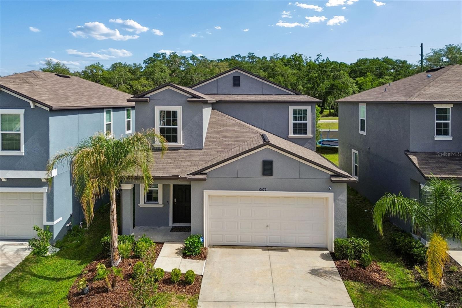 10072 Branching Ship Trace, FL