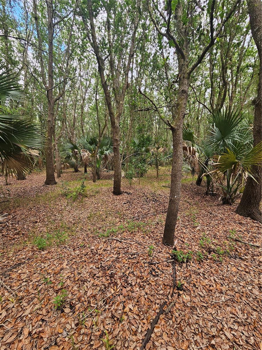 601 Howard Avenue, FL