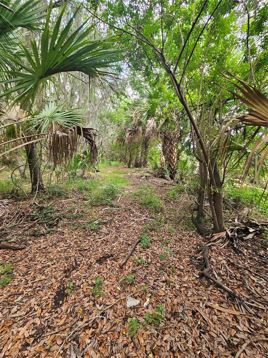 601 Howard Avenue, FL
