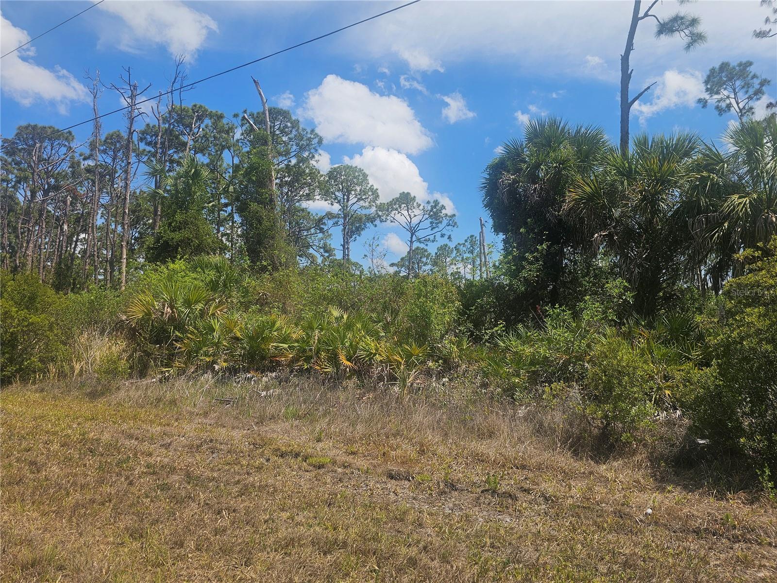 2649 Jacobs Street, FL
