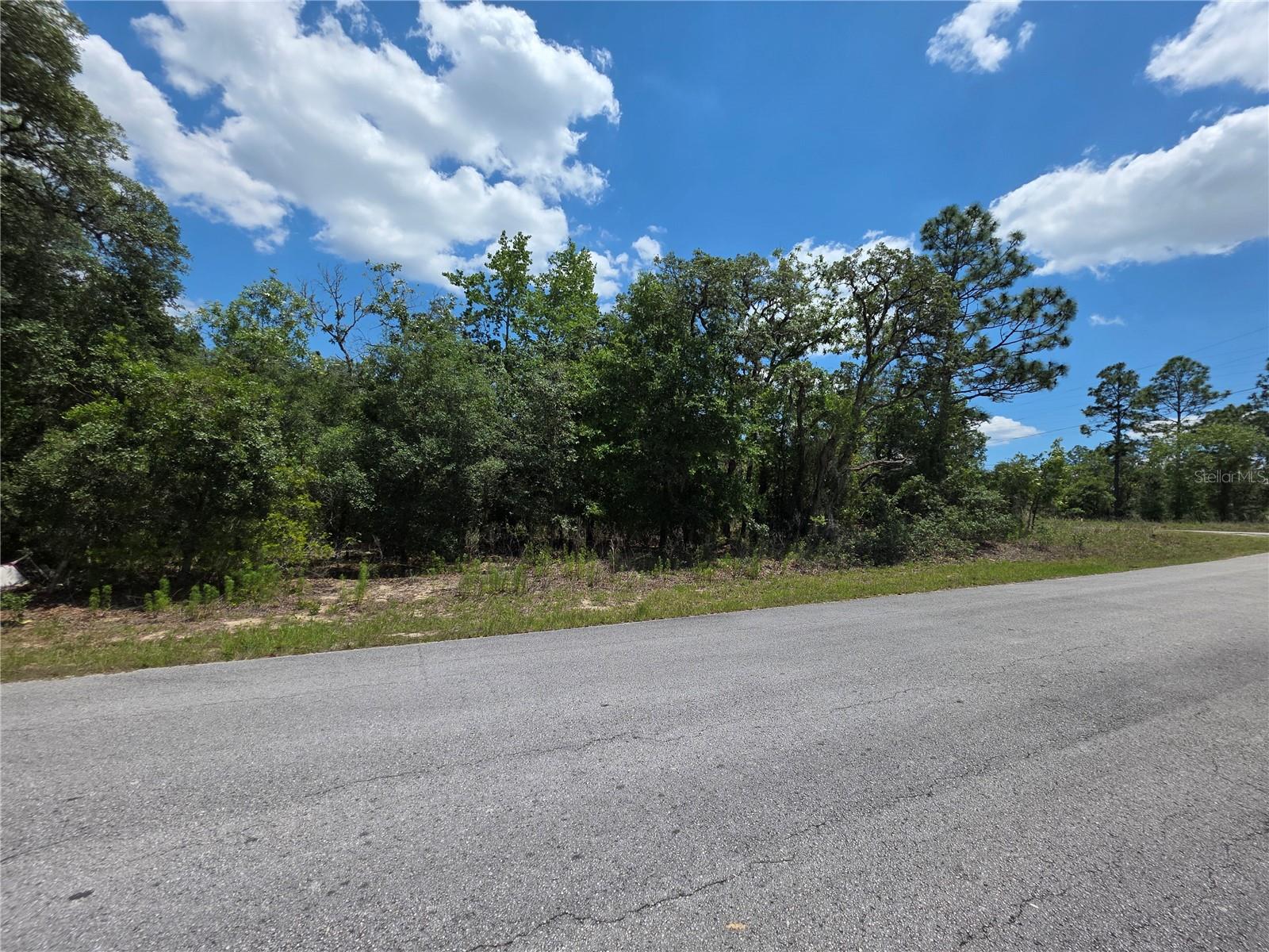 Lot 18 Wood Road, FL