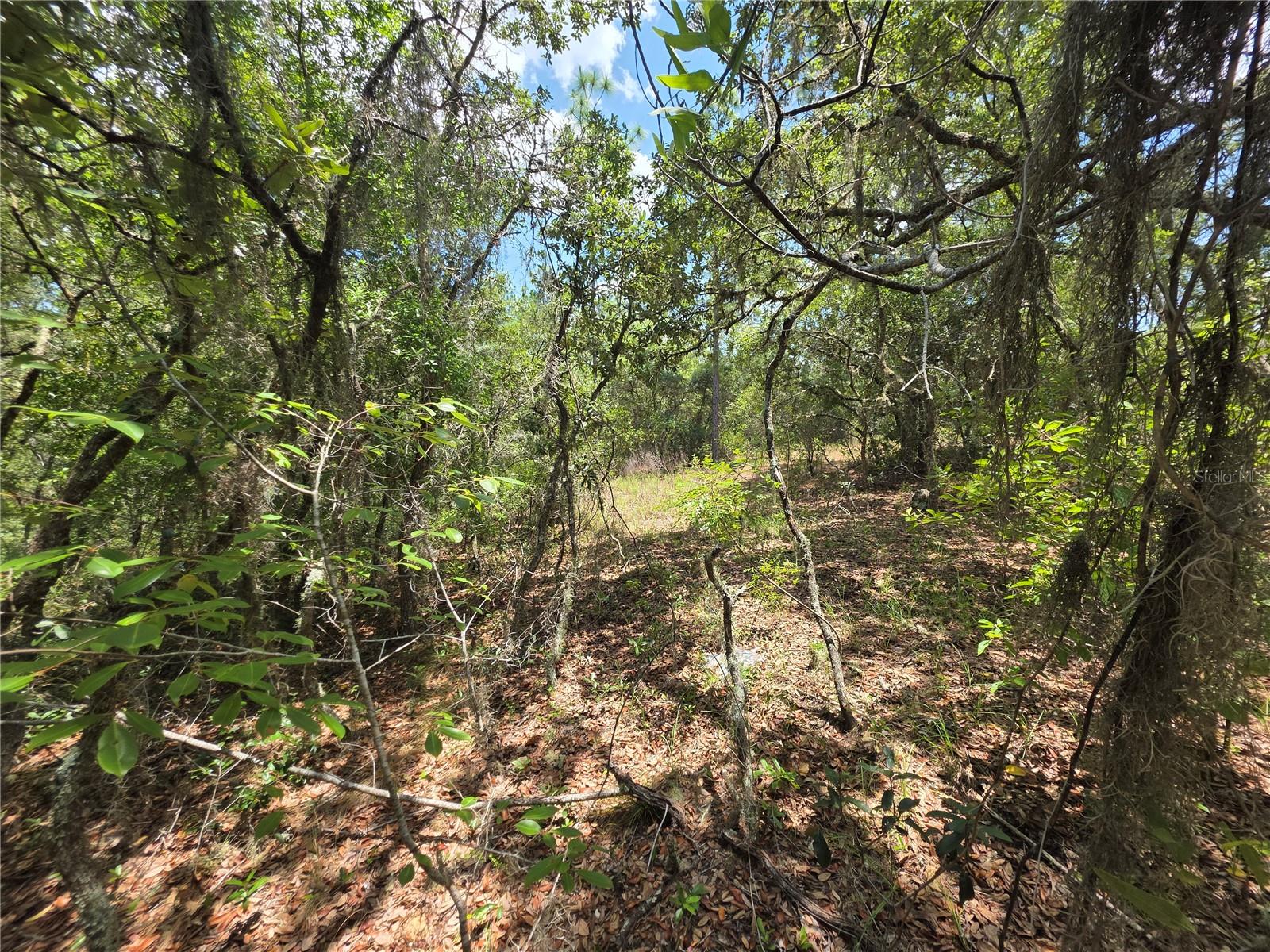 Lot 18 Wood Road, FL