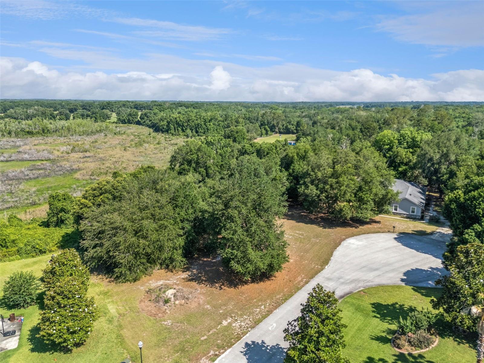 18353 Great Blue Heron Drive, FL