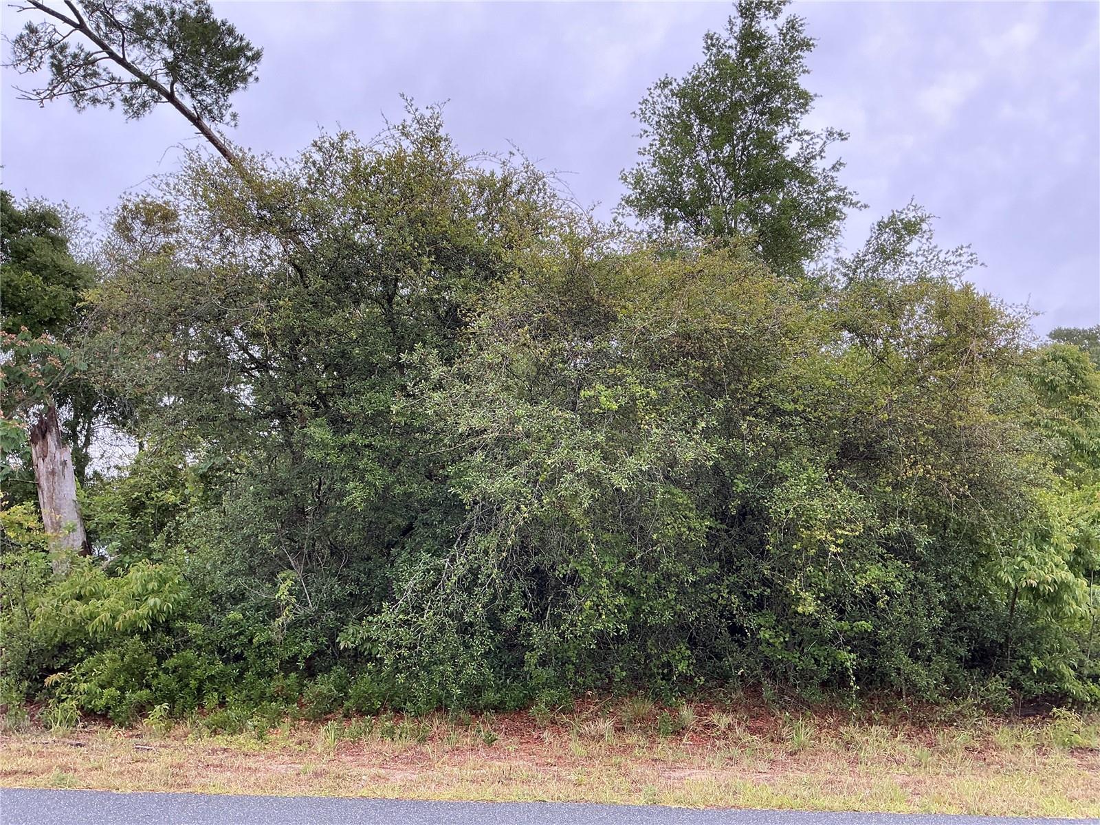Sw 165th Pl, FL