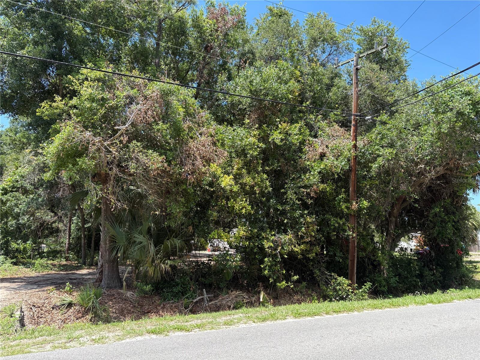168 Canal Ave, FL