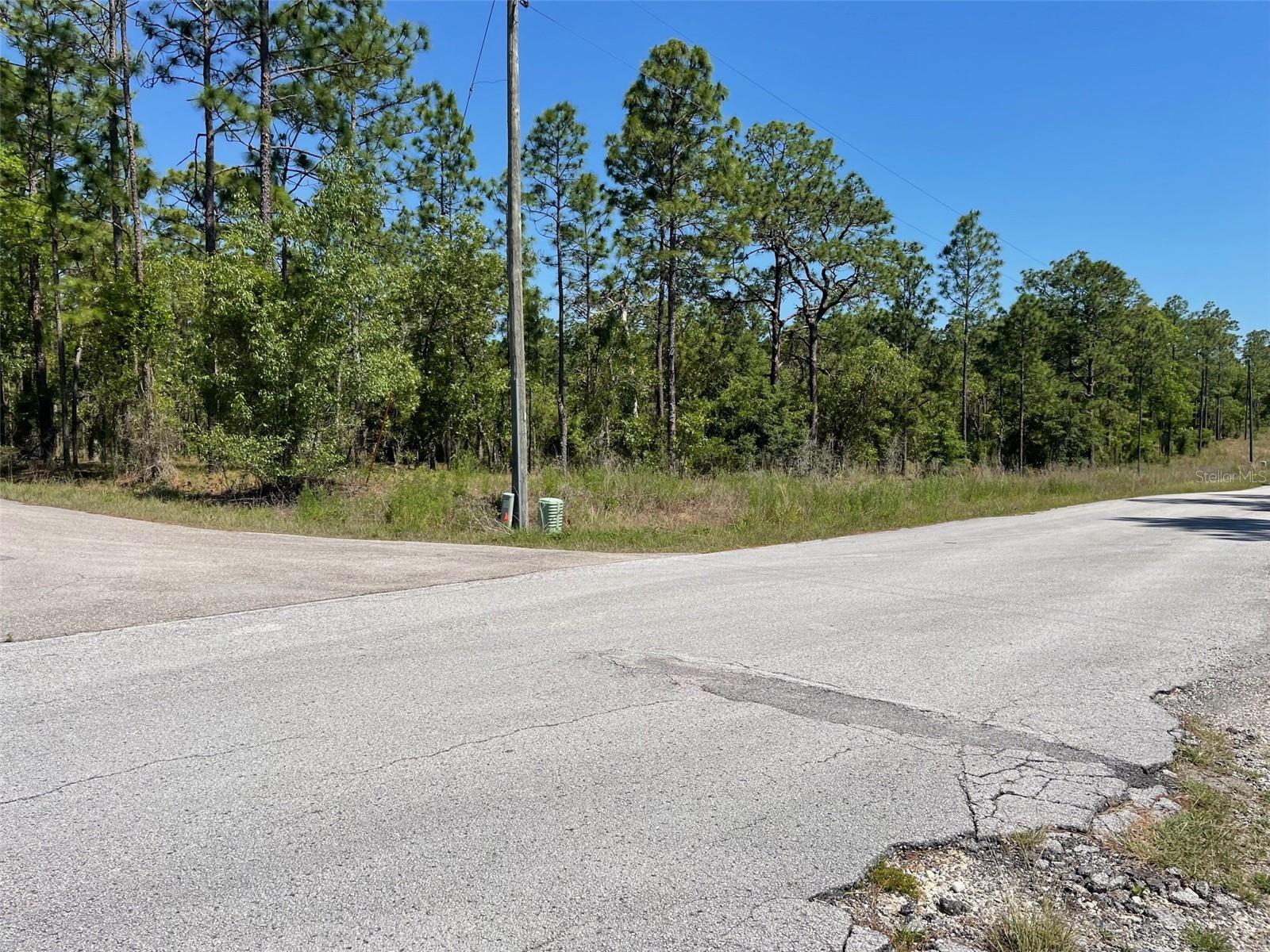 Lot 1 Nw Mandrake Dr, FL